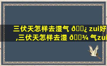 三伏天怎样去湿气 🌿 zui
好,三伏天怎样去湿 🌾 气zui
好的方法